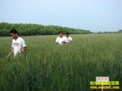 [ũ�����]��С������ԭ��Ԥ����Ƶ