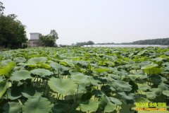 [�Ƽ�Է]�޷���ĸ�Ӵ�������ź