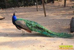 [�¸�����Ŀ]��������ȸ ���кܹ���