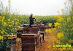 [��ֳ�¸�����]���۷� ����·