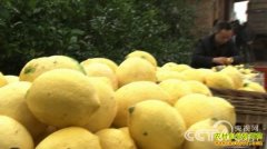 [�¸���]�̽��Ͻ��������ֲ�����¸���