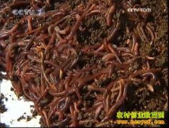 [ÿ��ũ��]������׬Ǯ �Ͼ������������