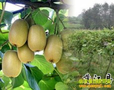 [ÿ��ũ��]�ѽ���ò⨺�����ֲĶ����2��Ԫ