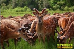 [�����е���¹]��������㵽�����ĲƸ�����