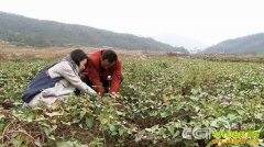 [�¸���]������ûǮҲ�ܴ���ҵ