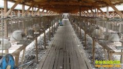 ��������������ֳ��Ϊũ���¸�������վ��