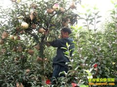 [�Ƽ�Է]������С�� �����ƻ��