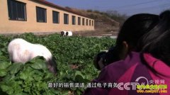 [�¸���]�˶�������׬Ǯ(ũ��Ʒ��������)