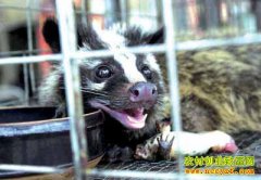 ��ֳ�¸���Ŀ����ֳ������ ��������Ǯ