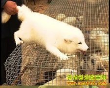 ��ֳ�¸�������ˮ�繤������ ��׬��ʮ��