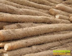 [ÿ��ũ��]�ӱ�����С����ɽҩ��С���ʹ�