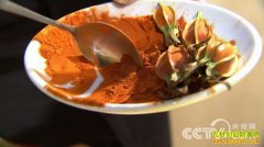 [�¸���]��ɫ���ջ�(��������ֲ�ӹ�)