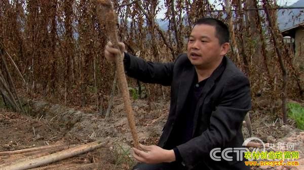 ������׬Ǯ(1��30��21:17)