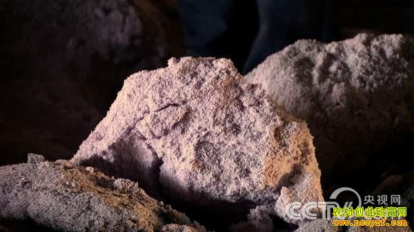 һ�������Ļ��������ĲƸ�(2��4��21:17)