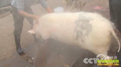 [�¸���]һ��ũ��С���������ڳ�������֮��