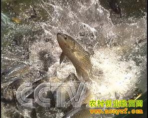 ������ ׬��Ǯ