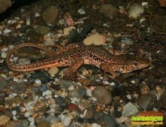 [ũ�����]���������ֳ����