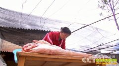 [�¸���]�����ң����ʹ��� ����׬Ǯ