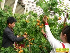 [ũ�����]�����ߴ�����������