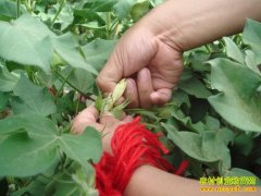 [ũ�����]�޻��ӽ����ּ�����Ƶ