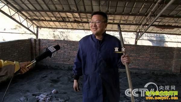 һ�������Ļ��������ĲƸ�(2��4��21:17)