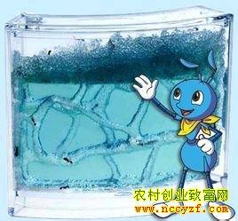 ���Ϲ���