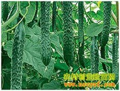 ������ֲʲô�߲���׬Ǯ