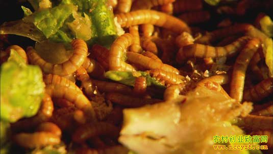 С����桰�Ͼӡ������г�