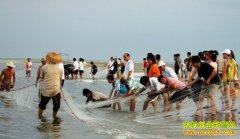 [�����е�]2015ũ���֣�֣���ĵĺ�ζ��Ȥ����֣��ϣ�