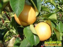 [ũ�����]�����޺������༼����Ƶ