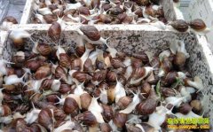 [ÿ��ũ��]ס������լ���İ�����ţ�����ĲƸ�