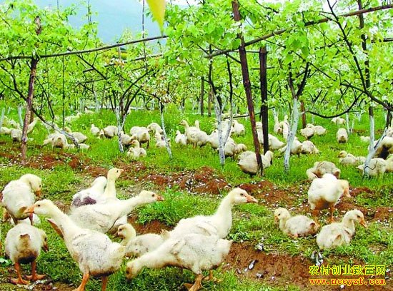 ��̬����