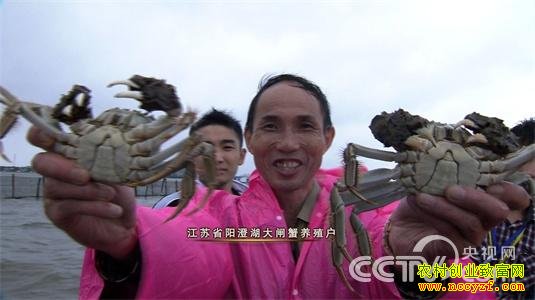 Ӯ��δ������ũ��Ʒ��������  �Բ����ĵ��� 4��6��21:17