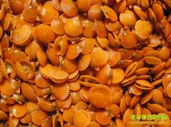 [ũ�����]�����ȱ�������ֳ������Ƶ