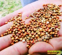 [�۽���ũ]�ü������޴��ɲ�