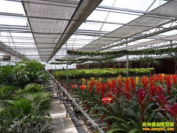 �����ֻ���