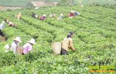 [�۽���ũ]��Ҷ���� �۸���� �۸��»�����˭��