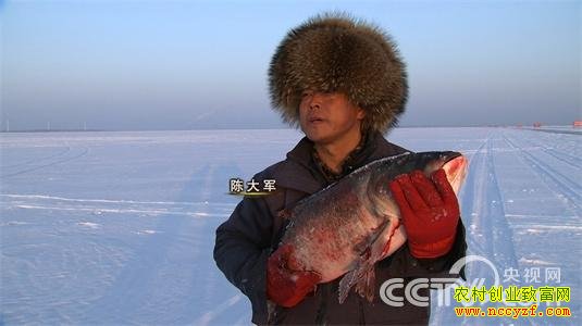 ̽Ѱ��������ĲƸ� 4��13�� 21��17