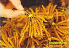 [�۽���ũ]�����ݴ�᣺����г��¸��