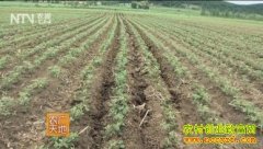 [ũ�����]��խ¢˫�����༼��