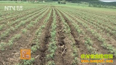 ��խ¢˫������