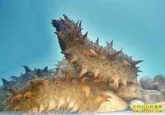 [ũ�����]�̲��Ϸ���ֳ������Ƶ