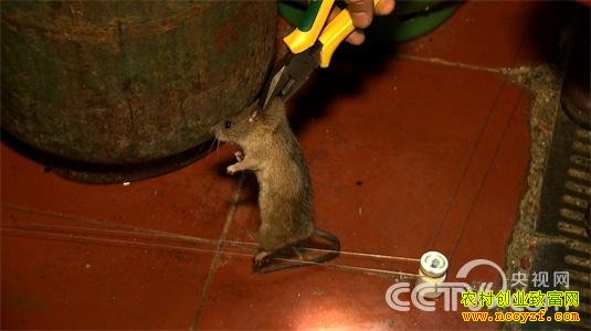 ��ѧ��ץ��������� ����200��