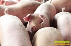 [�Ƽ�Է]ס�ڸߴ��ϵ���Ч���