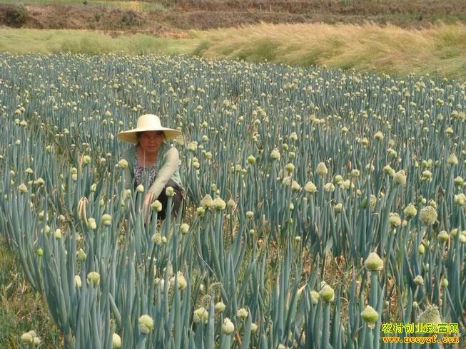 ��а���귱��