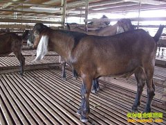 [�����е�]������¿�����ѧ���ź���������ϻ���