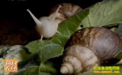 [ÿ��ũ��]������լ������ţ�����ĲƸ�