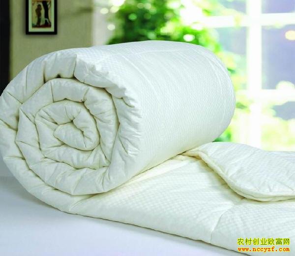 �ӹ���˿��