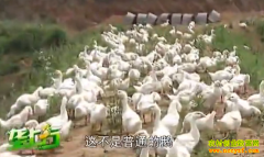 �¸��ð������������� ����40��