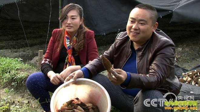 �Ĵ��ന�ػƴ�����ֲ��Ǿ�